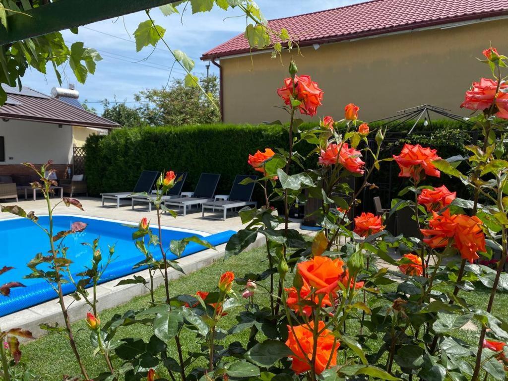 Hotel Casa Mateiana Eforie Nord Esterno foto
